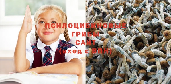 mix Алексеевка