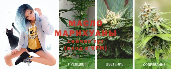 сатива Абаза