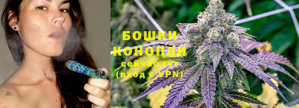 сатива Абаза