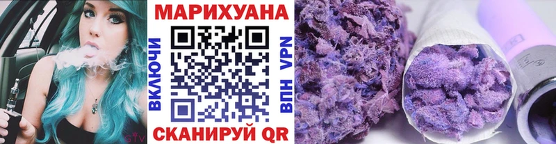 Каннабис планчик  купить  цена  Чкаловск 